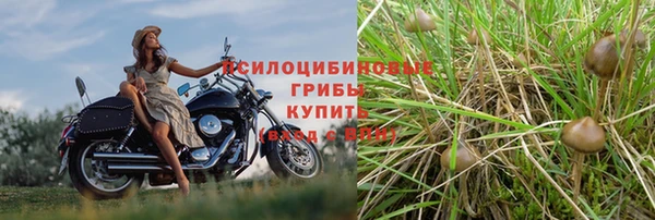 меф VHQ Куйбышев