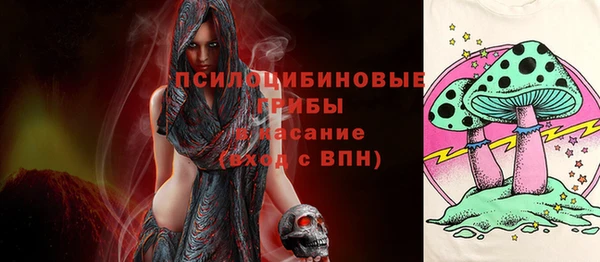 Альфа ПВП Краснослободск