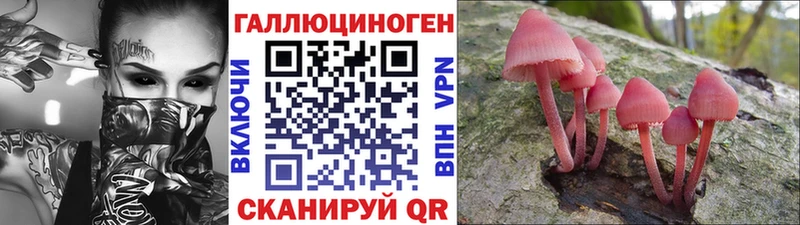 где продают   blacksprut онион  Псилоцибиновые грибы Psilocybe  Княгинино 